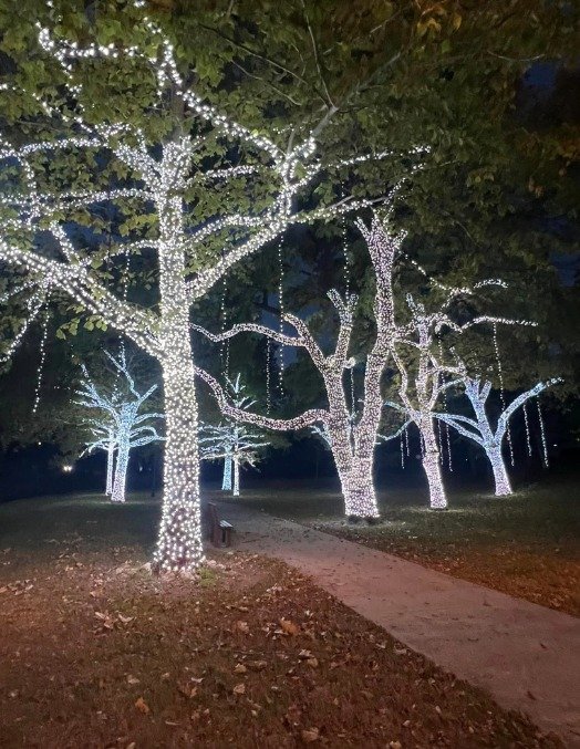 holiday-light-installation-near-me-4.jpg